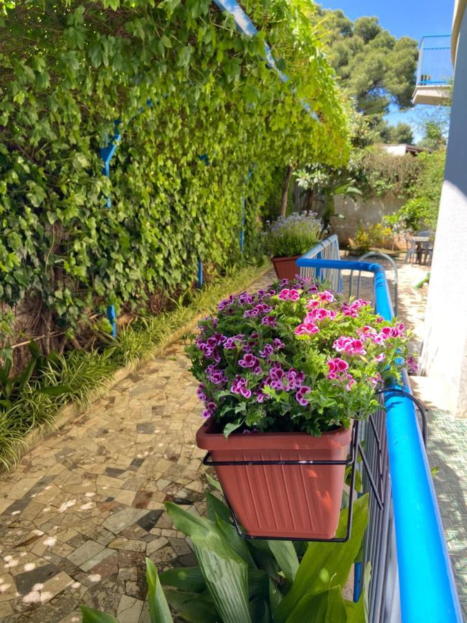 Villa Savoia Mondello Buitenkant foto